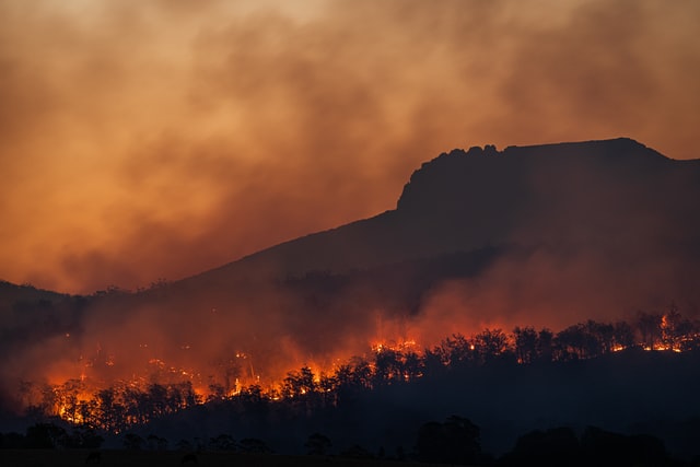 Bracing for Influence: Learn how to Put together for the Influence of Local weather Change