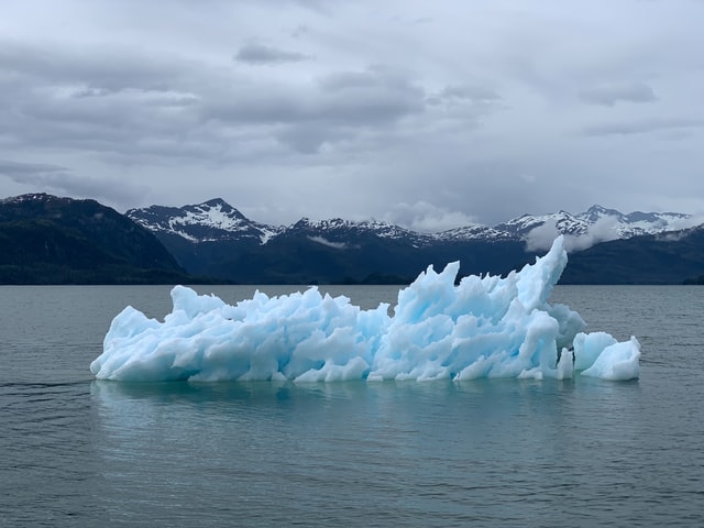 Understanding The Connection Between Local weather Change And Infectious Ailments